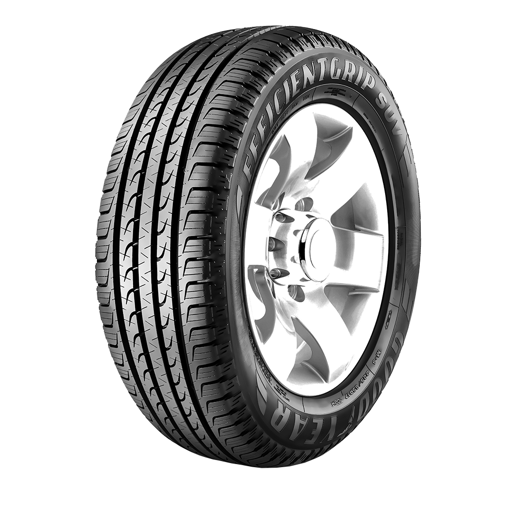 225/60R16 EfficientGrip SUV